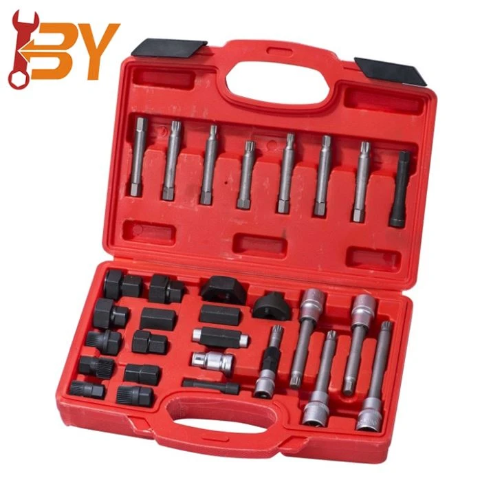 24pcs Alternator Freewheel Pulley Removal Kit