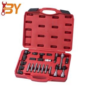 22pcs Alternator Freewheel Pulley Removal Set